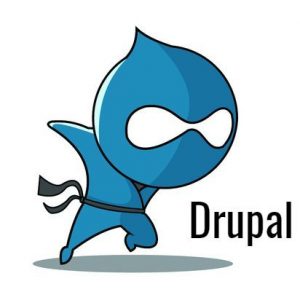 Drupal Development Company India | Drupal Development Services